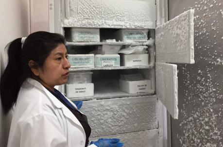 Mariana Calahorrano, cuida tejidos y células. Foto: Betty Beltrán / ÚN