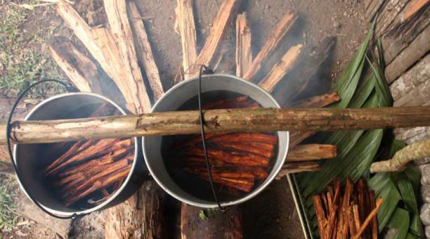 Indigenas Shuaras realizan anualmente un ritual en honor a la ayahuasca. Foto: Archivo / ÚN