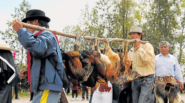 El rabo de gallo es una práctica muy arraigada en las tomas de la plaza. Foto: Galo Paguay / ÚN