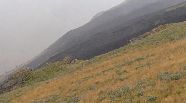 Incendio en el cerro Puntas logró ser controlado alrededor de las 13:20. Foto: Cortesía del Cuerpo de Bomberos