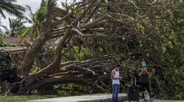 Residentes de Miami Beach regresan de los refugios y se cobijan del sol a la sombra de un árbol caído en Venetian Island hoy, lunes 11 de agosto de 2017, en Miami Beach, Florida (EE.UU.). Foto: EFE