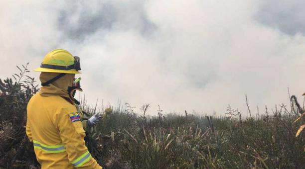 Bomberos controlaron un incendio forestal en San Juan de Calderón, al norte de Quito. Foto: Cortesía