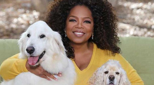 La polifacética Oprah Winfrey una de las mujeres las influyentes del mundo. Foto: Instagram
