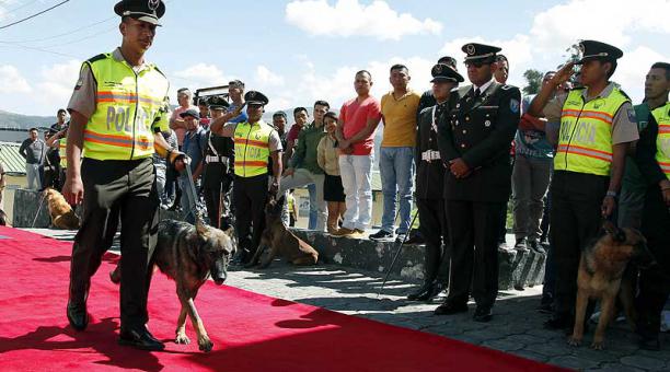 En el 2017, 16 perritos fueron dados de baja en una ceremonia. Foto: archivo ÚN