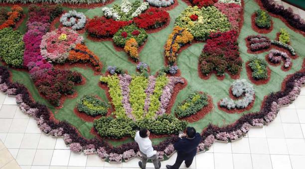 Muestra de mas de 4000 plantas en formas de quindes y flores realizada en el Centro Comercial El Bosque. Foto: Patricio Terán / ÚN