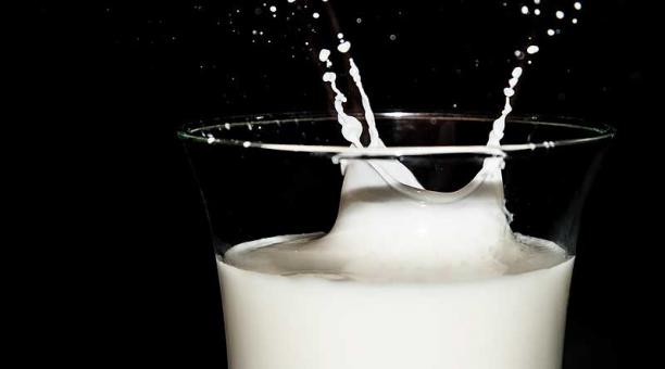 la leche es un fluido vital para el desarrollo humano. Foto: Pixabay