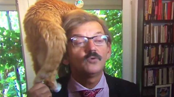 El académico dejó que su gato posara en su hombro mientras estaba en una entrevista. Foto: captura