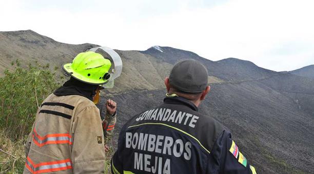La flora y fauna nativa, fue la más afectada tras el incendio en el Atacazo. Foto: ÚN