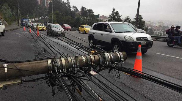 Según los técnicos, el árbol se cayó sobre los cables por las fuertes lluvias registradas en Quito. Foto: Eduardo Terán / ÚN