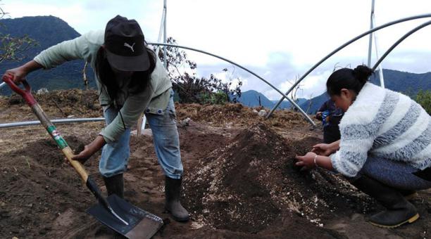 Mujeres participaron en la creación de un invernadero en Alambí, Nono. Foto: Tomada de la cuenta Facebook @avesyconservacion