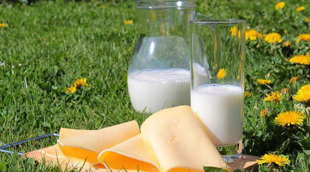 Los lácteos contienen proteínas, calcio, fósforo, potasio... Son importantes en cada etapa de la vida. Foto: Pixabay