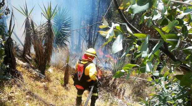 El martes 25 de junio del 2019 se registró un conato de incendio forestal en la vía a Nono. Foto: cortesía Bomberos Quito