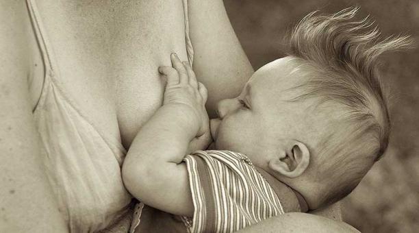 La leche materna es el mejor alimento para los bebés. Su consumo refuerza el sistema inmunológico. Foto: Pixabay