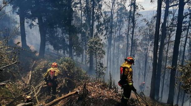 65 bomberos y 18 vehículos de emergencia realizan las tareas de control del incendio forestal en el cerro Auqui. Foto: Twitter Bomberos Quito