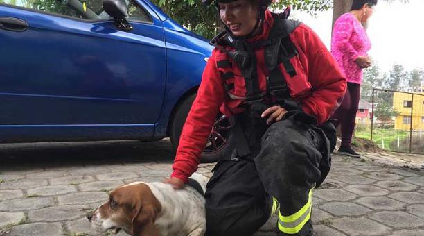 La oficial acarició al animal que tuvo que rescatar de una quebrada. Foto: Betty Beltrán / ÚN