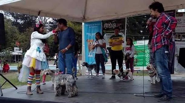 La Navidatón busca recaudar donaciones para las mascotas rescatadas. Foto: cortesía
