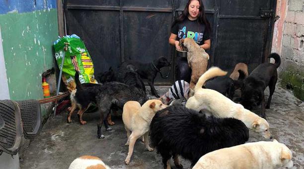 Evelyn Guerrón cuida a los perritos. Los esterilizan y luego los suelta. Foto: Betty Beltrán / ÚN
