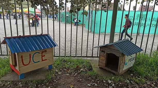 Dos de las casas que acogen a las 22 mascotas que se ‘tomaron’ la Central. Foto: Betty Beltrán / ÚN