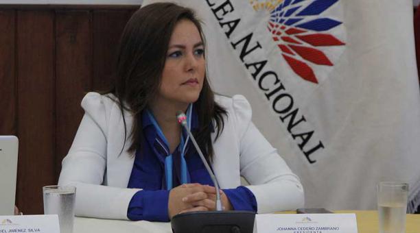 Johana Cedeño,presidenta de Fiscalización de la Asamblea, señaló que está analizando su permanencia en Alianza País. Foto: archivo / ÚN