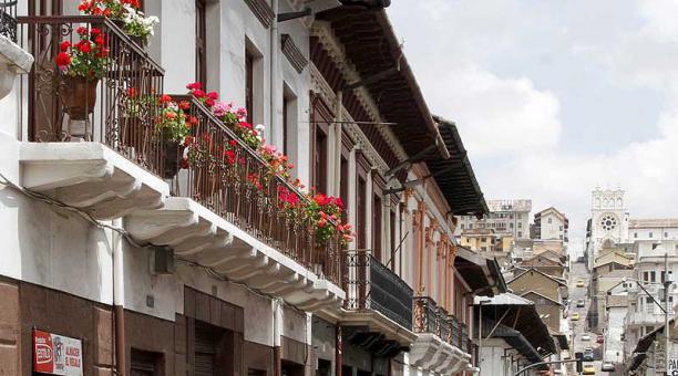Los balcones de las casas patrimoniales del Centro Histórico lucen estas plantas que fueron introducidas al país hace 500 años. Foto: Eduardo Terán / ÚN