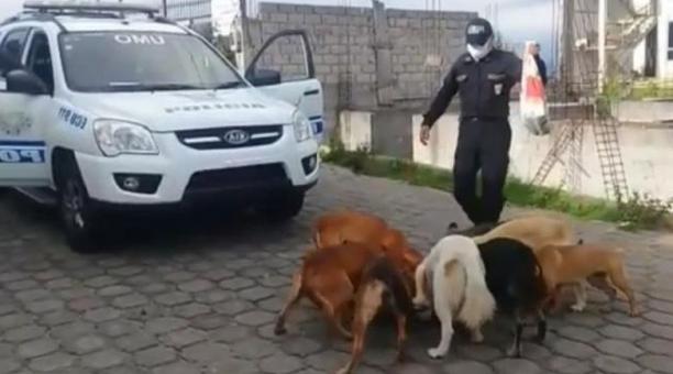 Los policías dan de comer a los animales que están en las calles.