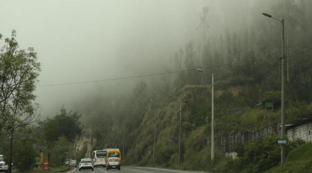 Los bancos de niebla se concentran donde hay más árboles, como en la avenida Simón Bolívar. Foto: Diego Pallero / ÚN