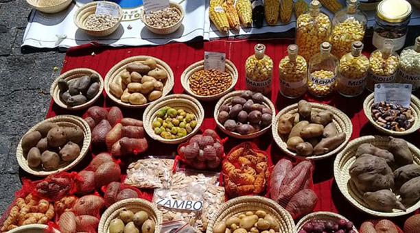 Algunas variedades de cereales y tubérculos, cuyas semillas se guardan. Foto: cortesía del Iniap