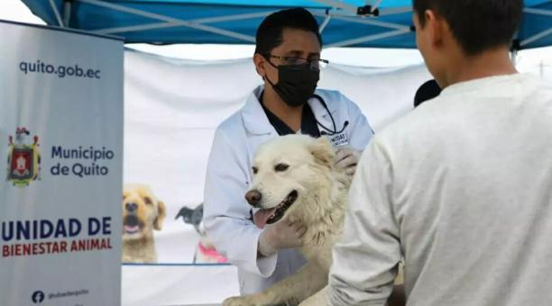 El año pasado La UBA también inauguró la tercera campaña móvil para esterilizar a más perros y gatos de la ciudad. Foto: Facebook Unidad de Bienestar Animal