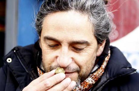 Un uruguayo huele un cogollo de marihuana el miércoles 19 de julio de 2017, en una farmacia de Montevideo (Uruguay). Foto: EFE