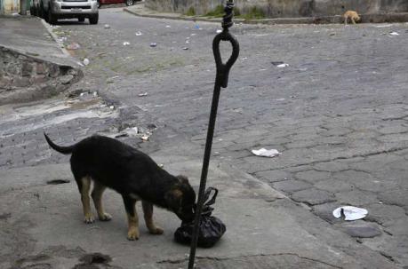 La basura en las principales calles de Toctiuco es un problema para el lugar. Foto: Alfredo Lagla/ÚN