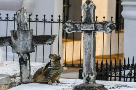 Cementerio en la ciudad de Mompox, que inspiró a una de las novelas del premio Nobel de Literatura colombiano Gabriel García Márquez. Foto: AFP
