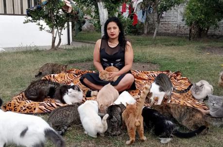 Lorena Romero, con los gatos en Tumbaco. Foto: Cortesía Refugio Felino Mininos Felices