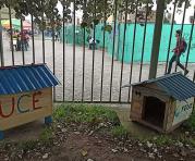 Dos de las casas que acogen a las 22 mascotas que se ‘tomaron’ la Central. Foto: Betty Beltrán / ÚN